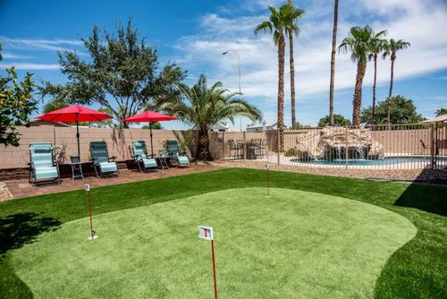 backyard putting green installation done by Tampa Turf Solutions